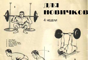 Начальная программа тренировок для новичка: журнал MENS-LOOK.ru